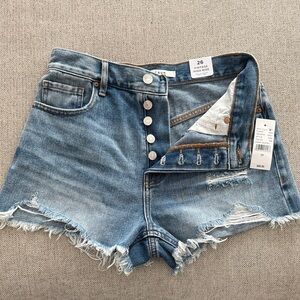 PacSun Vintage Blue Denim Shorts